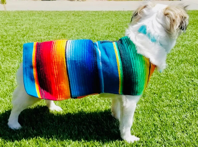 Dog Poncho -Blue