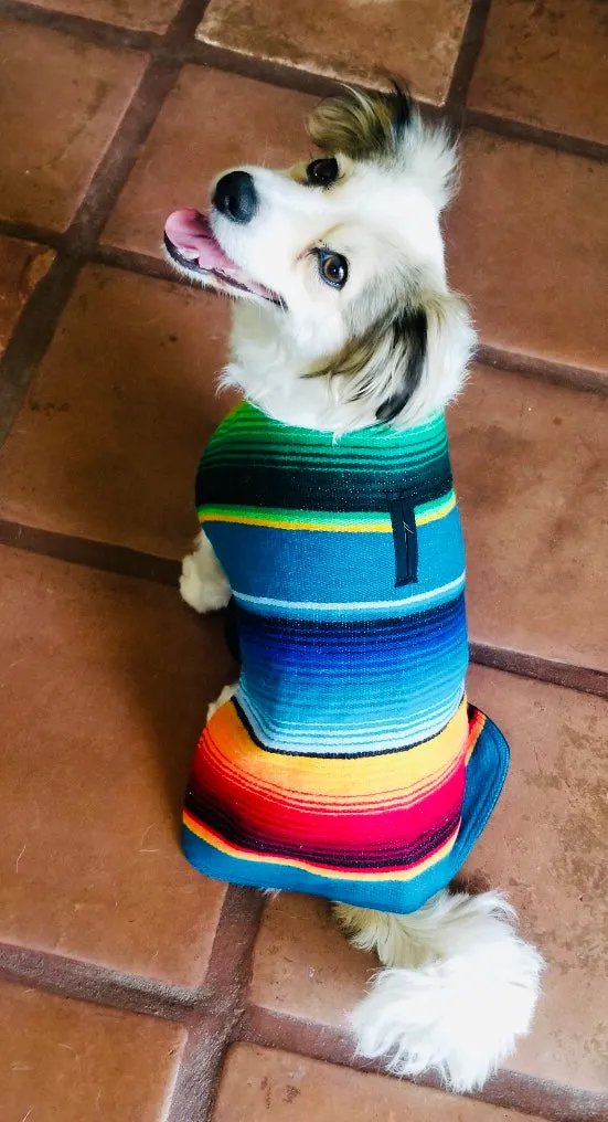 Dog Poncho -Blue