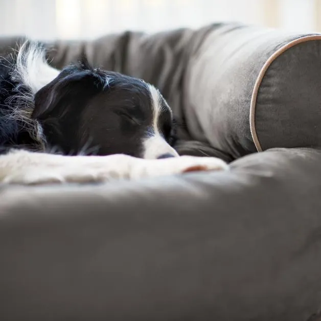 【Limited Stock】Sofa Dog Bed Pet Bed