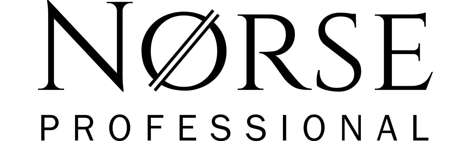 Norse Portable Pressure Washer (New)